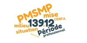 Cerfa 13912*04 : Mise En Situation En Milieu Professionnel PMSMP