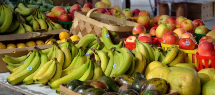 Rémunérations minimales de l’expédition et l’exportation de fruits et légumes en 2024