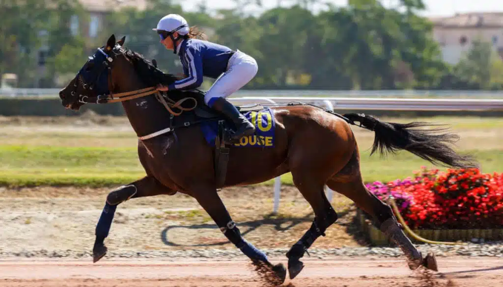 Grille des salaires 2024 de l’entrainement des chevaux de courses au trot