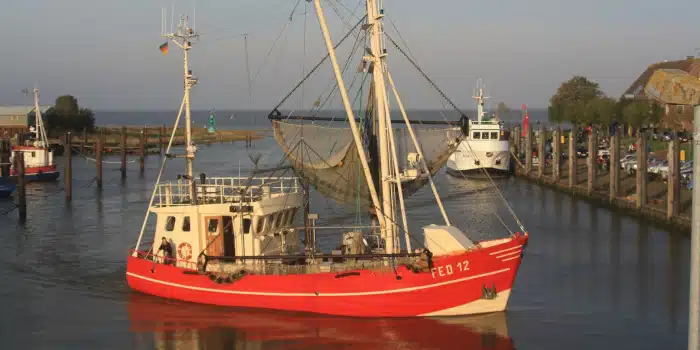 Barème des salaires forfaitaires des armateurs et marins en 2024