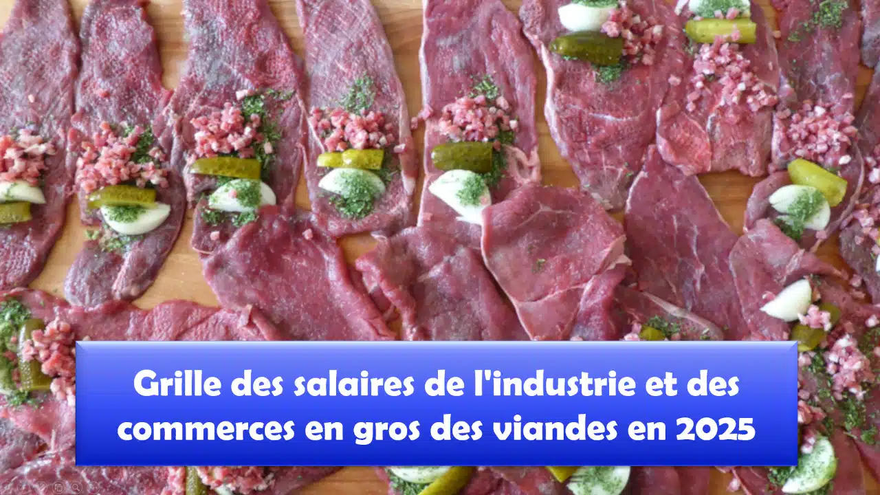 Barème salaires, salaire moyen et salaire minimum de l’industrie et des commerces des viandes en 2025